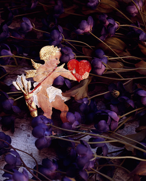 Silk Violets, 1989/