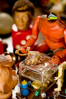 Roach Sacrifice, 2009 - 