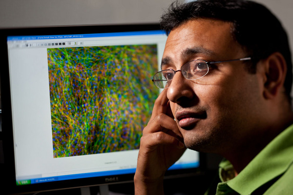 Ramanuj DasGupta, Ph.D, RNAi Robotics/