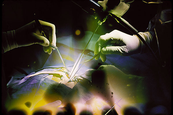 Rene Perez Fotographics