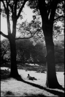 Central Park, 2007 - 